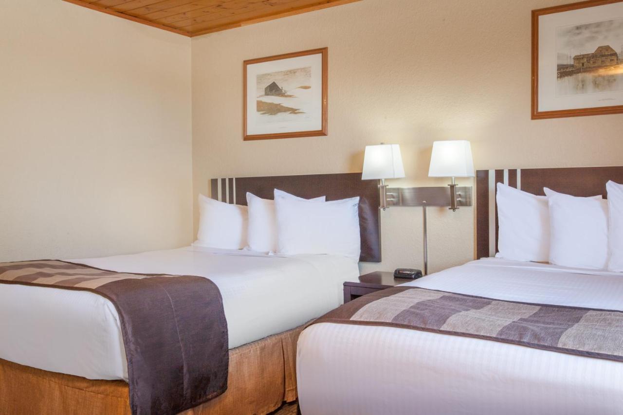 מדיסין הט Econo Lodge Inn & Suites מראה חיצוני תמונה