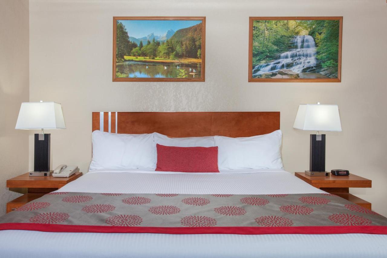 מדיסין הט Econo Lodge Inn & Suites מראה חיצוני תמונה